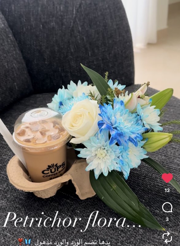 صورة المنتج