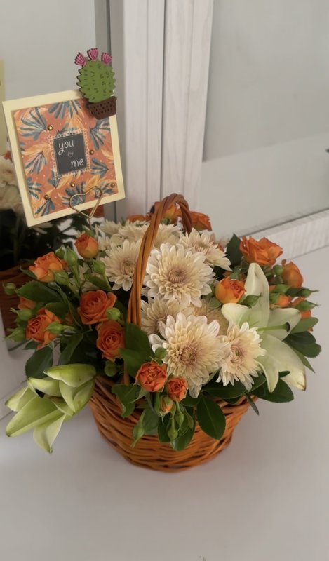 صورة المنتج